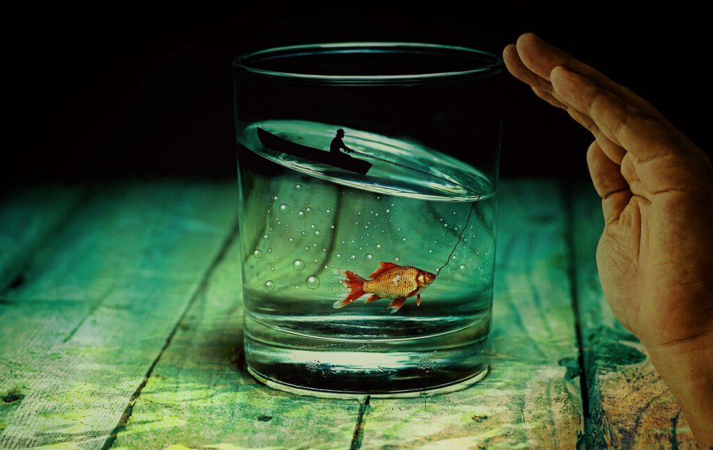 Einf Fisch in einem Glas Wasser.