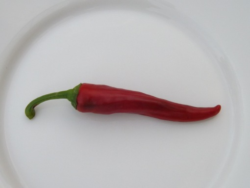 eine Chili auf einem weißen Teller