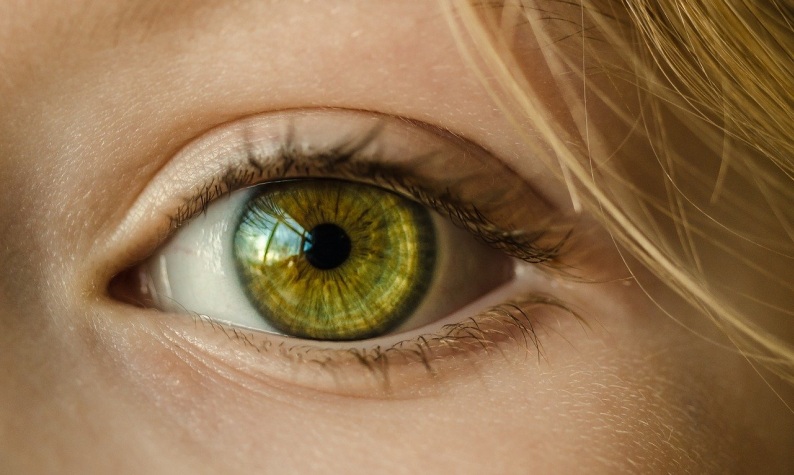 ein grünes Auge